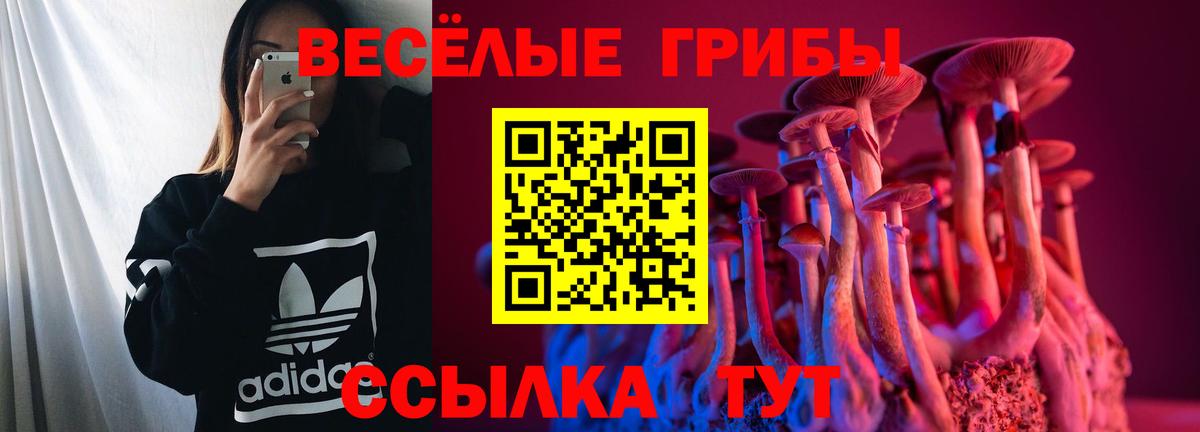 Ишимбай  купить закладку  Галлюциногенные грибы MAGIC MUSHROOMS  Вход с VPN  Галлюциногенные грибы Magic Shrooms 