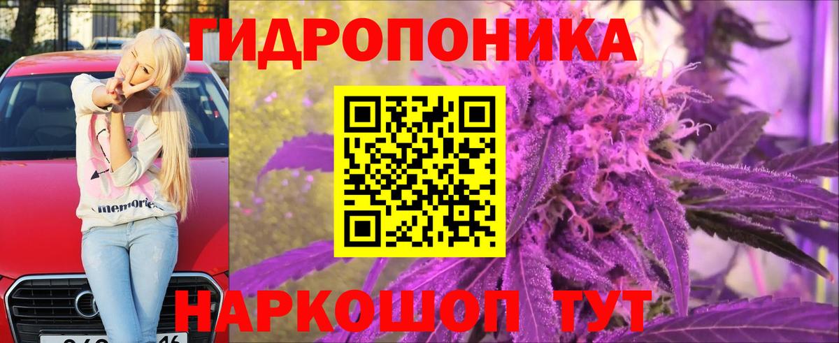Ишимбай  Шишки марихуана Ganja  Каннабис план  Вход с VPN  Шишки марихуана Bruce Banner 
